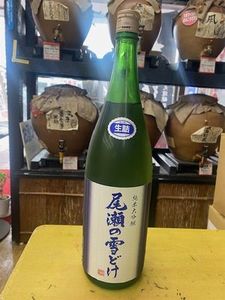 尾瀬の雪どけ